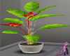 tropical potted Plant 1