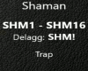 ICHI - SHAMAN