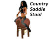 Country Saddle Stool