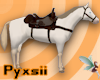 Perlino Western Horse