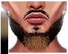  . Beard 03 | DB