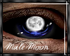 [P&P]The.Night M-Moon E-