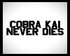 Cobra Kai Framed