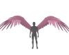 ☢ F Wings - Pink