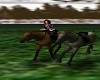 ANIMATED HORSE RIDING