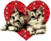 *{Kitten Love}*