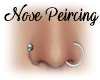 [BM] Nose Peircing