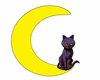 Moon Kitty