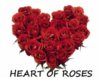 Heart of Roses
