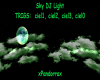 Sky DJ Light