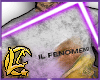 EL FENOMENO