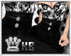 [KB] Divinne Dalmata