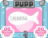 🐾 Streaming Fish HS