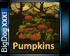 [BD]Pumpkins