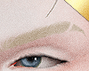 ✶Arcis Eyebrows