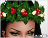 Holly Wreath + Lights