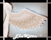 NIlla::WingsV2