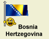 Bosnia-Hertz flag smiley