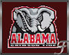 (F) Alabama T-shirt