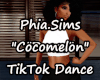 P.S. Cocomelon TikTok