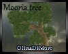 (OD) Mooria tree
