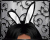 Bunny Ears Anime (R)