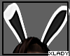 LDK-Black  Bunny EARS