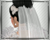 😻Jen Wedding Veil
