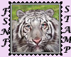 Tiger Biggie Stamp