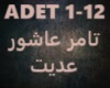 Tamer Ashour-Adeit