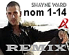 Shayne Ward- No Promises