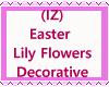 Lily Flowers Decorative