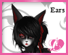 Dark Ears Custom 