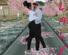 Couple Flamingo Fit F