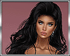 B*Brunette Beauty BUNDLE