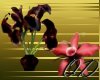 QD~Vampire Wedding Lily