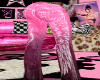 starseed pink denim ☆