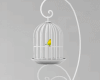 Bird in White Cage