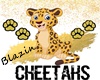 Custom School Sign