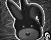ᶻ bunny!!!