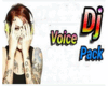 Voice DJ Remix