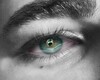 Green Eyes M