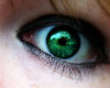 {sy} Forest GRN Eyes