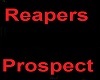 Reapers prospect vest 