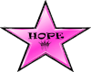 ~M~Hope Pink Floor Star