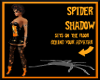 Spider Shadow 