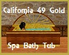 California49 Spa Bathtub