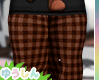 XL - Brown Pants