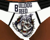 Bulldog Breed Underwear