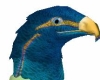 Female blue Avian